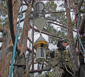 Wendy Baxter with the treetop fog collector at Montgomery Woods State Natural Reserve. Photo by Anthony Ambrose.