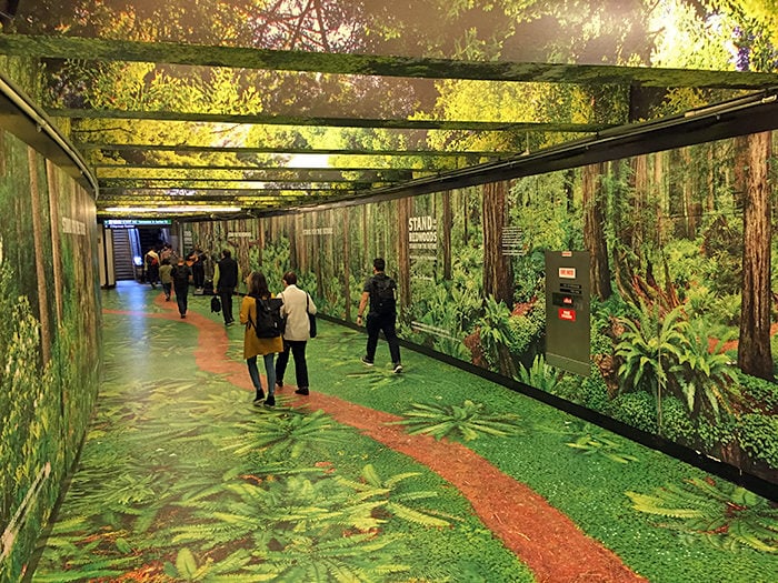 Walk through San Francisco's Montgomery Train Station between now and October 15 to experience the redwood forest.