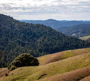 The view to the west from Atkins Place. Photo credit: Max Forster, @maxforsterphotography