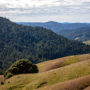 The view to the west from Atkins Place. Photo credit: Max Forster, @maxforsterphotography