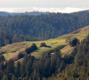 A stunning view from Atkins Place. Photo credit: Max Forster, @maxforsterphotography