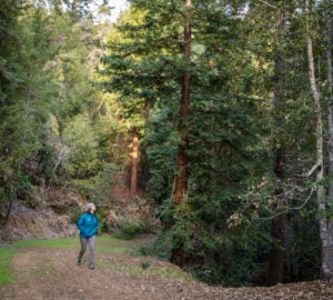 Adrianna Andreucci, Save the Redwoods League land protection manager, walks along a trail in Atkins Place. Photo: Max Forster, @maxforsterphotography
