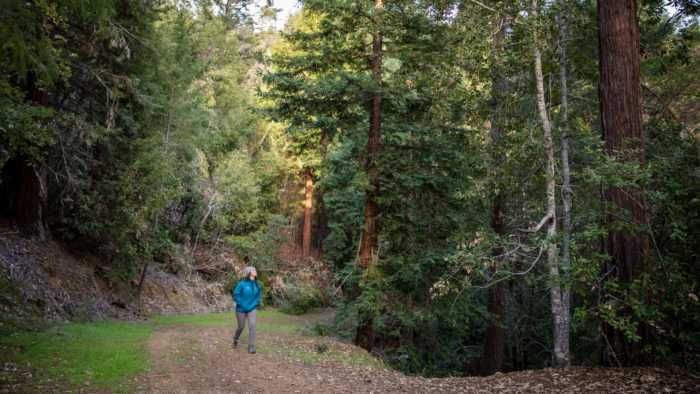 woman walking in the forest