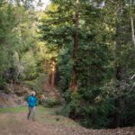 woman walking in the forest