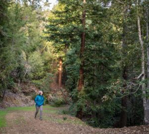 woman walking in the forest