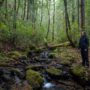 Montgomery Woods State Natural Reserve.  Photo by Max Forster @maxforsterphotography, courtesy of Save the Redwoods League.