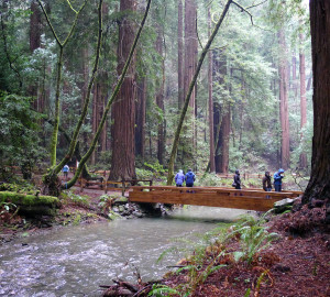 in 9172, President Nixon signed into law "An Act to Establish the Golden Gate National Recreation Area," which now includes Muir Woods. Photo by Stephen Kennedy, Flickr Creative Commons