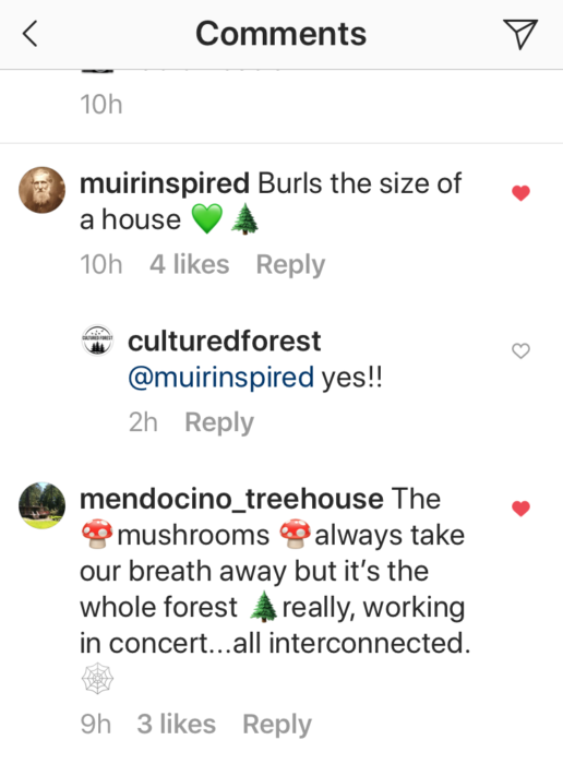Instagram comment feed