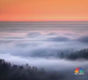NBC Nightly News: Go inside a secret grove of centuries-old California redwoods