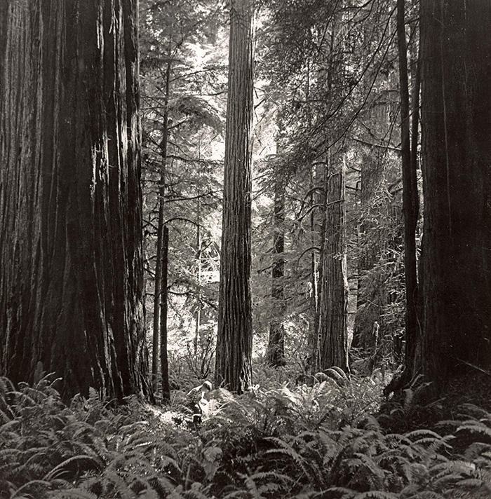 Mid-1940s