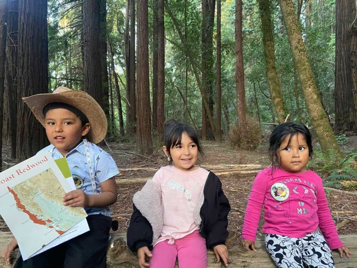 Three children sit on a log in a redwood forest. One is holding a redwoods map