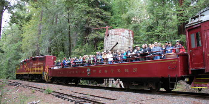 League donor event to view the ancient Noyo River Redwoods that faced harvest along the old-time Skunk Train route. Photo by Julie Martin