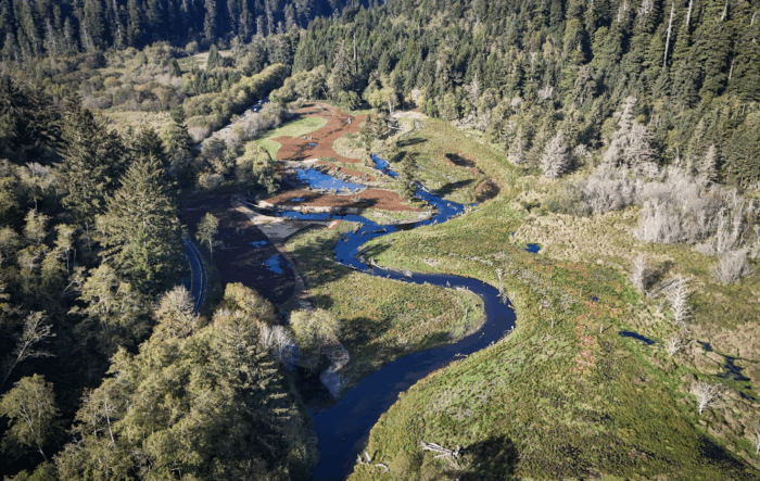 Bird's-eye view of a blue creek twisting through a flat green plain bordered by redwood forests
