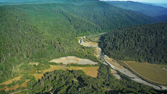 Redwood Trails Gateway & Prairie Creek Restoration