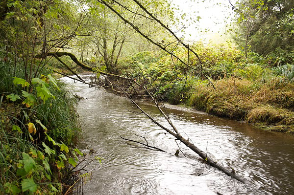 SB 5 would help protect sources of clean water. Photo by Humboldt State University