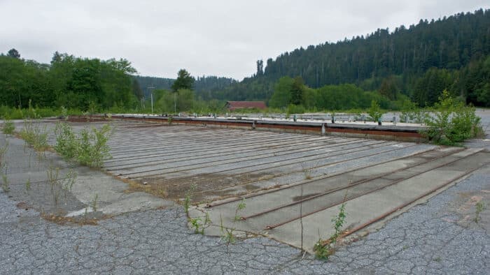 areas of asphalt surrounded by forest