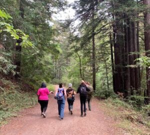 Five people walking on a wide path through a redwood forest