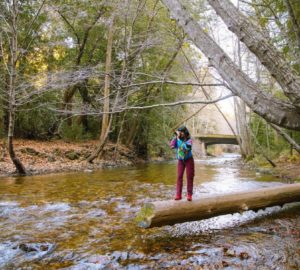 A woman of color stands on a log hanging over a creek and peers through her binoculars.