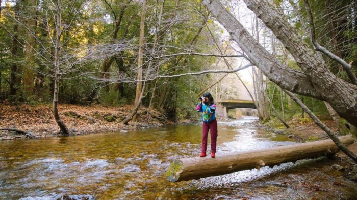 activities in the forest