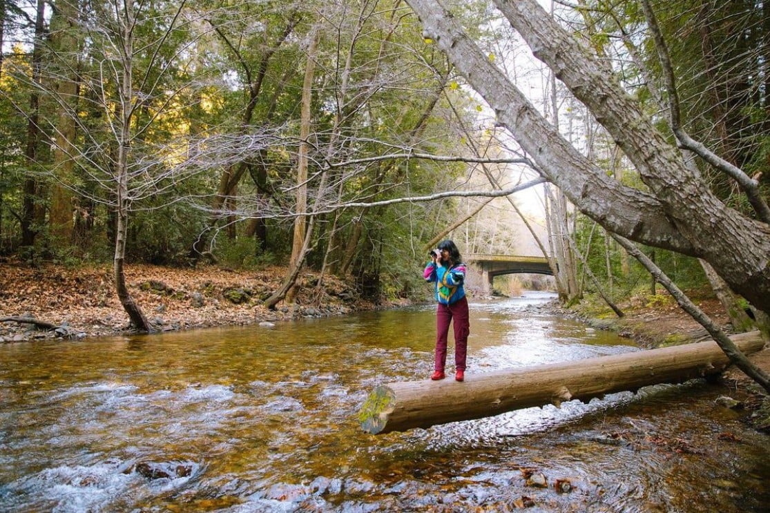 A woman of color stands on a log hanging over a creek and peers through her binoculars.