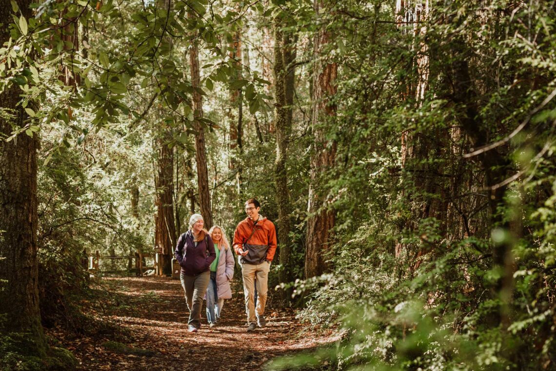 three hikers walking through a forest