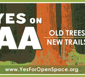 On June 3, 2014, voters can vote “Yes” on Measure AA.