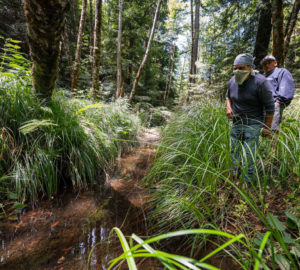 Hawk Rosales (left), former executive director, and Jaime Boggs (right), board member of the InterTribal Sinkyone Wilderness Council, stand along the creek in Tc’ih-Léh-Dûñ.  Photo by Paul Robert Wolf Wilson, courtesy of Save the Redwoods League.