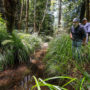 Hawk Rosales (left), former executive director, and Jaime Boggs (right), board member of the InterTribal Sinkyone Wilderness Council, stand along the creek in Tc’ih-Léh-Dûñ.  Photo by Paul Robert Wolf Wilson, courtesy of Save the Redwoods League.