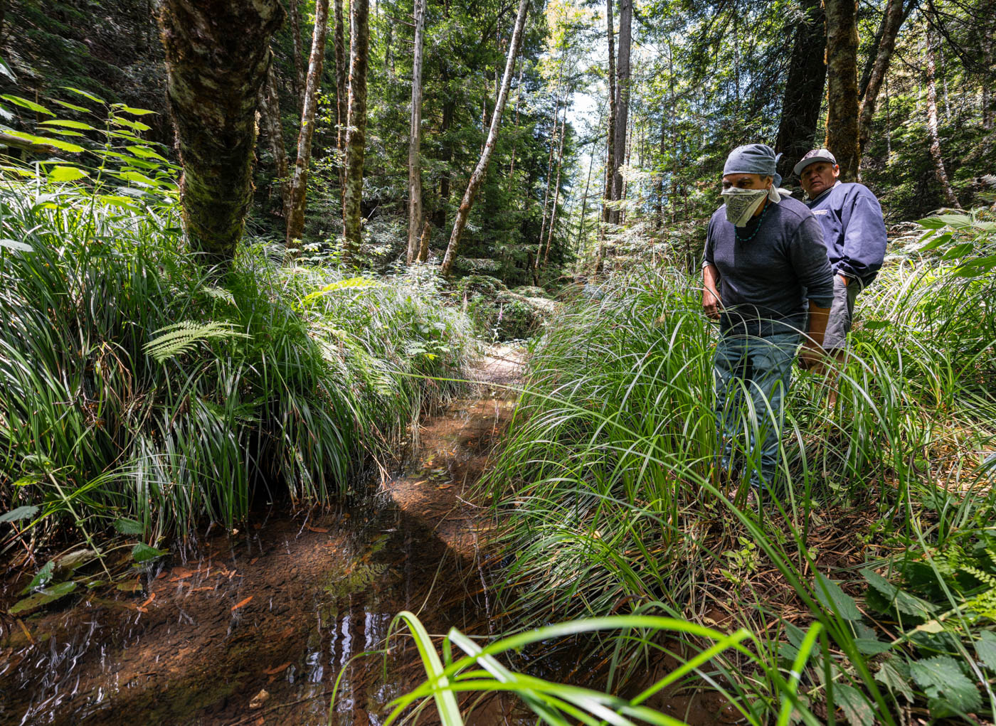 Two indigenous men, one wearing a bandana and the other in a ballcap, next to a creek among waist high grasses and underbrush.