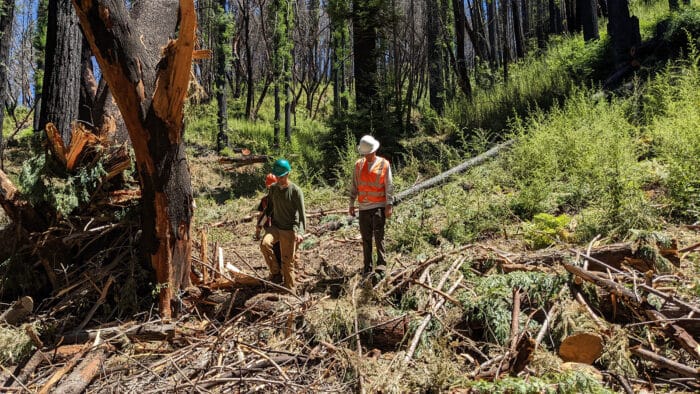 Three crew members doing restoring work