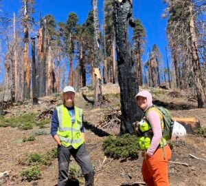 Two female restoration workers in neon-green vests smile in front of a partially burned sequia forest