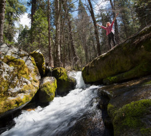 The pristine South Fork of the Tule River rushes through Red Hill Grove. Photo by Paolo Vescia.