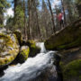 The pristine South Fork of the Tule River rushes through Red Hill Grove. Photo by Paolo Vescia.