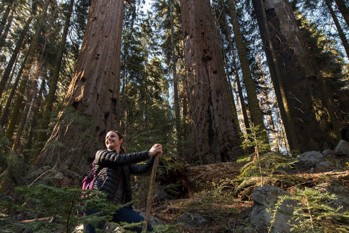 Red Hill’s rugged forest is magnificent.