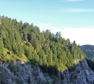 The League joined other conservation organizations in the Living Landscape Initiative to protect the San Vicente Redwoods (formerly CEMEX Redwoods) property.