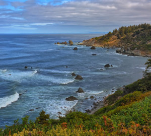 Patrick's Point State Park, Photo by Kirt Edblom, Flickr Creative Commons