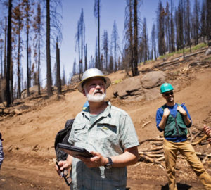 Save Our Sequoias Act introduced in Congress