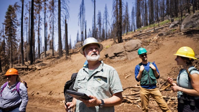 Bipartisan legislation introduced to save giant sequoias