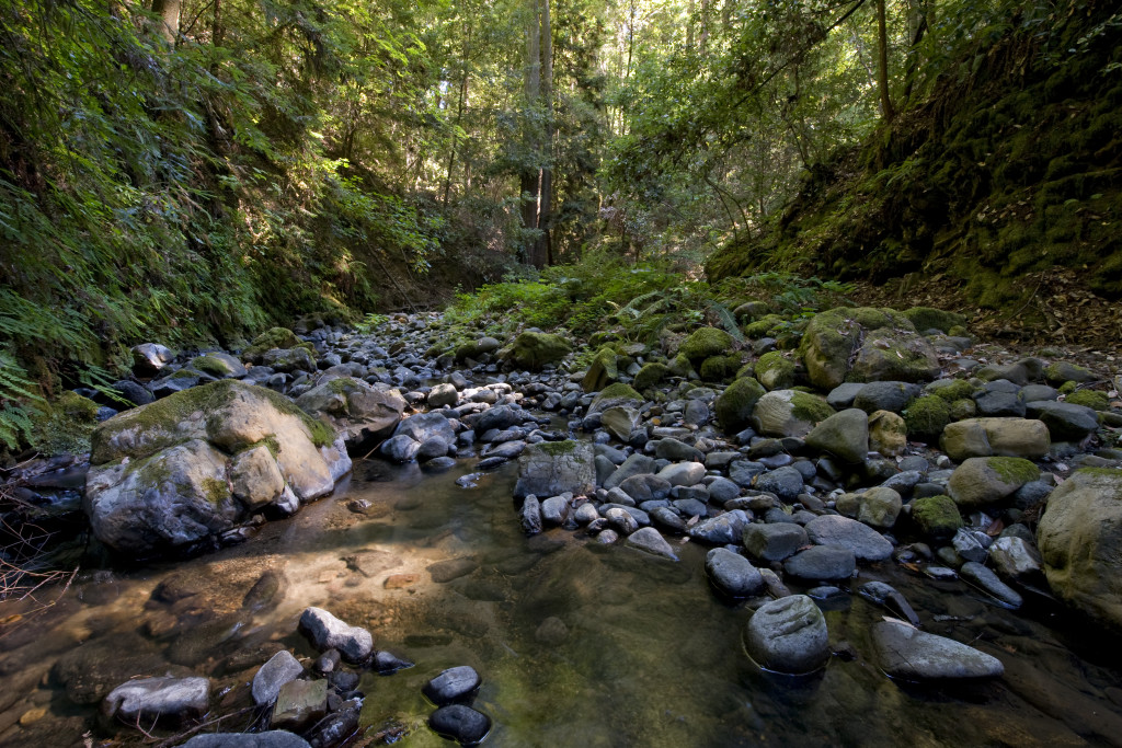 Peters Creek, clear and safe