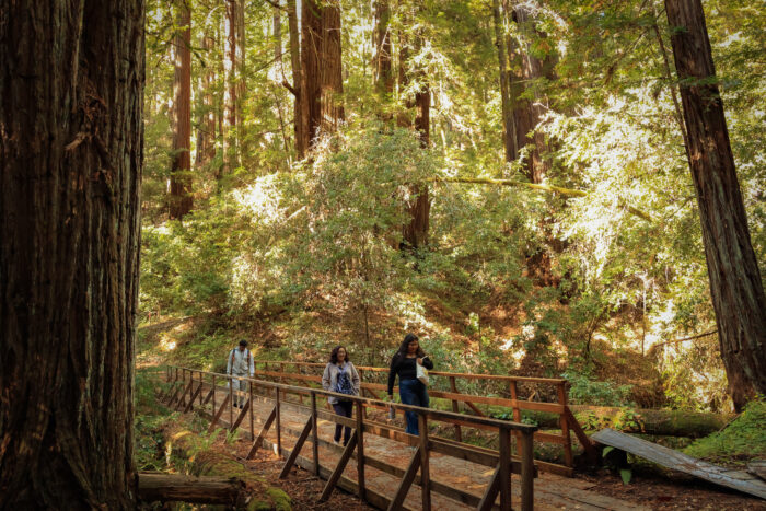 Three young women cross a bridge in a brightly lit forest with redwood trees.