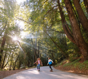 Skateboarding in the redwoods