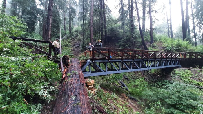 A fallen tree over the Pfeiffer Falls Trail caused damage to the new pathway.