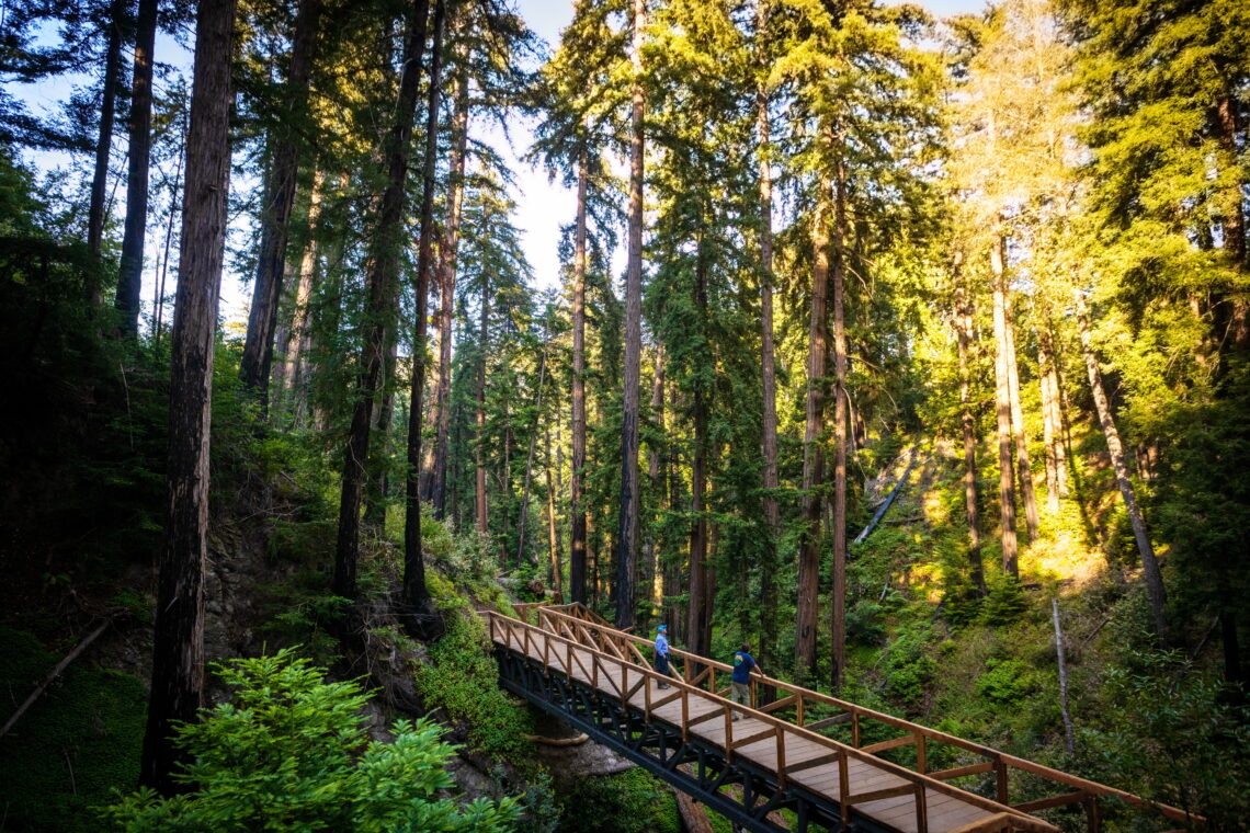 two men stand on a long wooden trestle bridge through a redwoods gorge