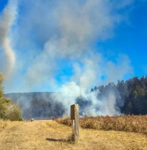The adjacent forest scatters the prevailing wind, creating a smoke whirl. Changes in weather, especially local winds, are monitored and communicated among the crews so action can be taken if the smoke whirl pushes the fire outside its line.
