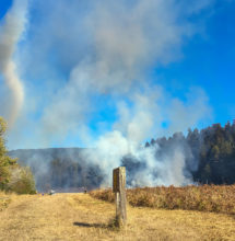 The adjacent forest scatters the prevailing wind, creating a smoke whirl. Changes in weather, especially local winds, are monitored and communicated among the crews so action can be taken if the smoke whirl pushes the fire outside its line.