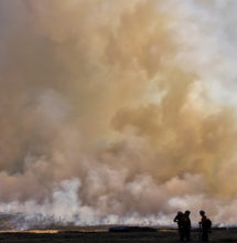 Crews monitor the fire line as the flame front passes.