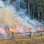 A firefighter protects a park sign and supporting crews contain the fire within a narrow strip under an old growth canopy on the edge of the prairie.