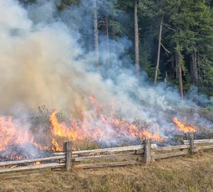 A firefighter protects a park sign and supporting crews contain the fire within a narrow strip under an old growth canopy on the edge of the prairie.