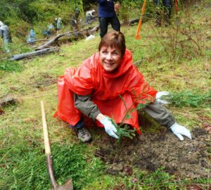 a woman wearing a red rain poncho smiles as she prepares to plant a redwood sapling