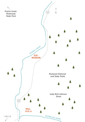 Prairie Creek Scenic Corridor | Save the Redwoods League